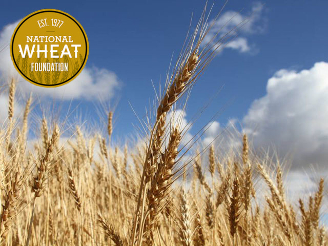 The National Wheat Foundation has announced new rankings for its 2019 National Wheat Yield Contest. (DTN photo graphic)